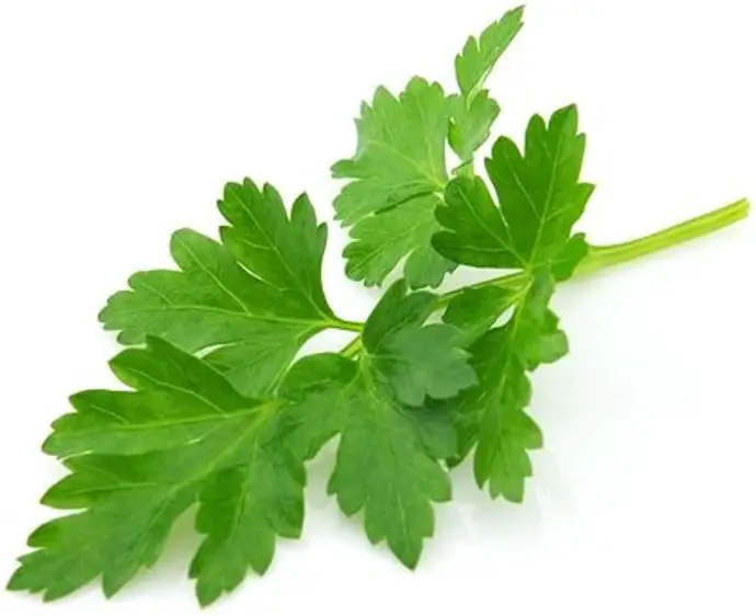 What Does Parsley Smell Like?