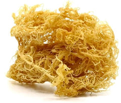 What Does Sea Moss Smell Like?