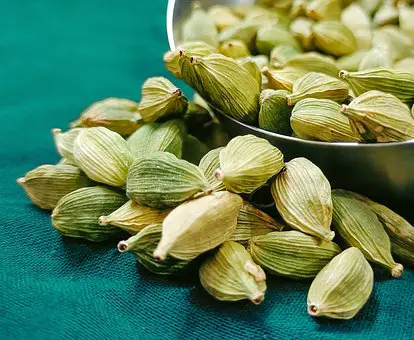 What Does Cardamom Smell Like?