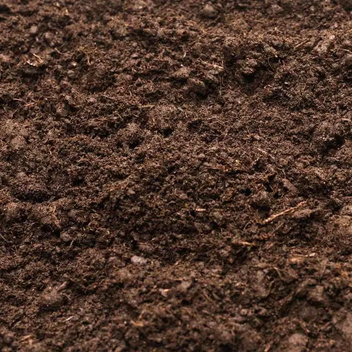 What Does Dirt Smell Like?