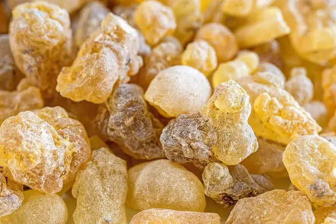 What Does Frankincense Smell Like?