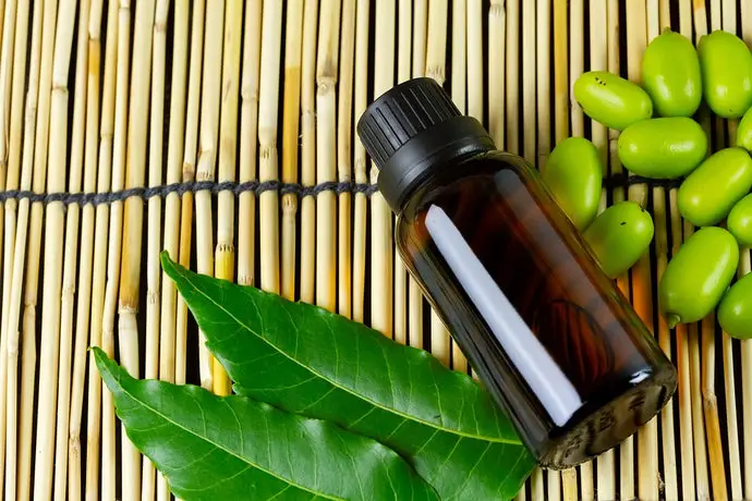 What Does Neem Oil Smell Like?