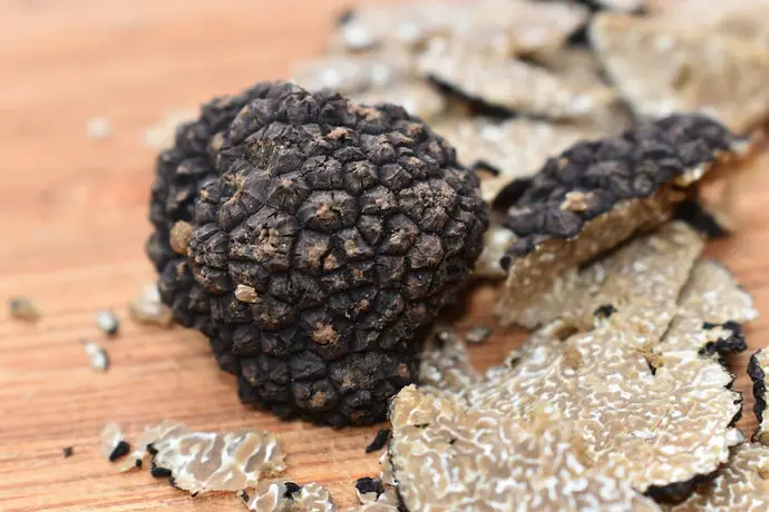 What Does Truffle Smell Like?