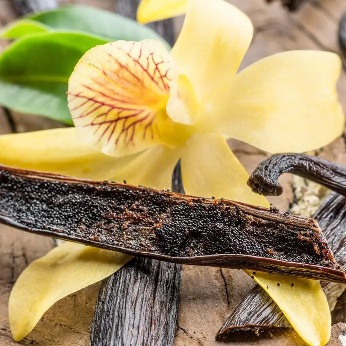 What Does Vanilla Smell Like?