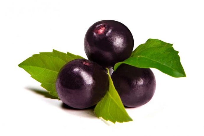 What Does Acai Berry Smell Like?