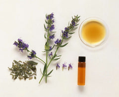 What Does Hyssop Smell Like?